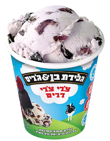 גלידת בן &ג׳ריס | צ'רי צ'רי דרים - ריאו בעיר